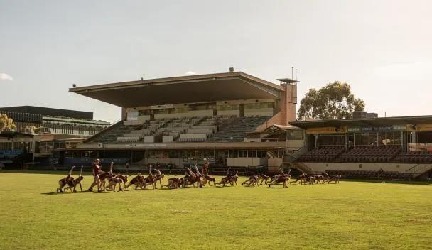Leederville Oval